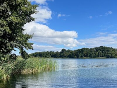 Działka 1185 m², utwardzony wjazd, plan miejscowy